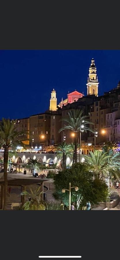Menton Centre Vue Imprenable Sur Mer Et Jardin Bioves Bagian luar foto
